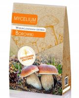 BOROWIKI certyfikowana grzybnia grzyby leśne