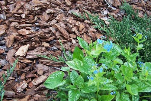 KORA SOSNOWA Ogrodowa Gruba Torf Humus 80L na Arena.pl