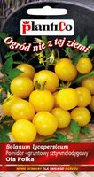 NASIONA Pomidor Karłowy Gruntowy Ola Polka Żółty 0,5g PLANTICO 405684