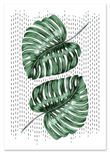 Plakat monstera liście 29,7x42 cm A3 na Arena.pl