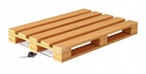 10x BARDZO MOCNY LEP PUŁAPKA KLEJ ŁAPKA NA SZCZURY MYSZY GRYZONIE NO na Arena.pl