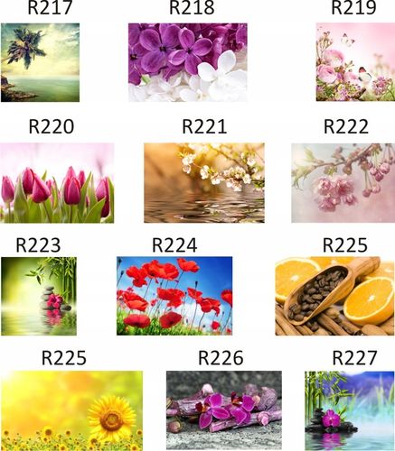 FOTOTAPETA rosliny KWIATY róże DUŻY WYBÓR WZORÓW na Arena.pl