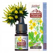 GLISTNIK GÓRSKI JASKÓŁCZE ZIELE WŁÓKNIAKI KURZAJKI BRODAWKI MODZELE 20