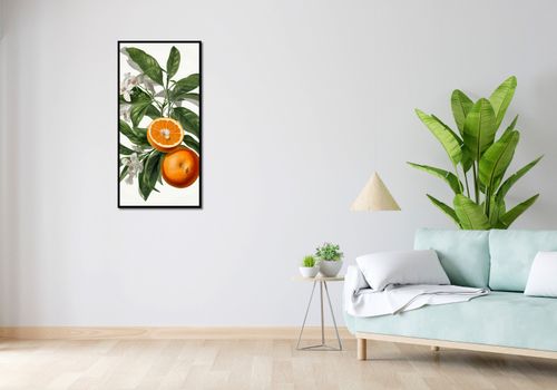 Plakat 50x100cm Dojrzałość Pomarańczy na Arena.pl