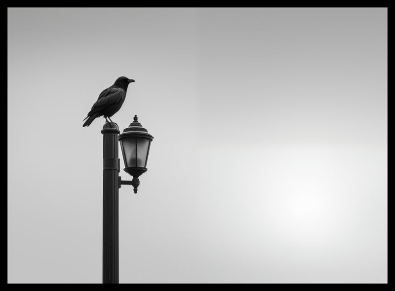 Plakat 55x40cm Samotny Postój Kruka zdjęcie 2