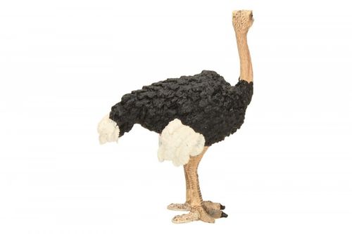 Schleich Struś na Arena.pl