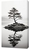 Obraz 50x90cm Samotne Drzewo