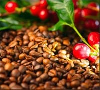 Tło do fotografii produktowej kulinarnej Flat Lay