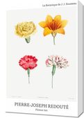 Obraz 40x60cm Design Flower Set, Redoute Vintage do Salonu