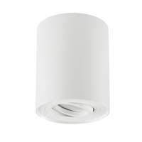 SPOT PLAFON LAMPA SUFITOWA IDEUS STRUHM HARY 03711 BIAŁY