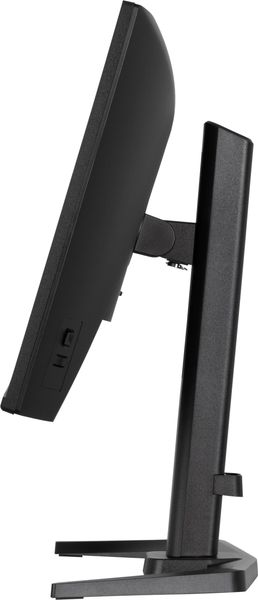Monitor LED 24" iiyama G-Master GB2471HS-B1 Red Eagle zdjęcie 7