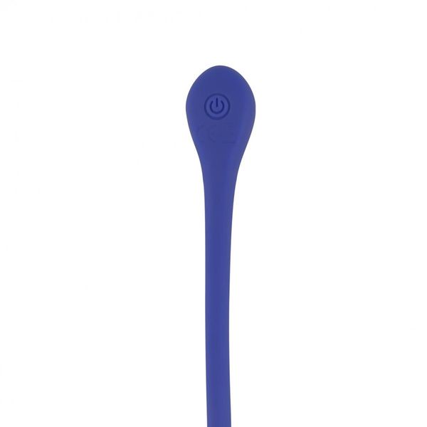 Teazers Vibrating Egg with Remote control zdjęcie 8