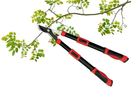 SEKATOR DO KONARÓW, TELESKOPOWY 650-900 MM YATO na Arena.pl