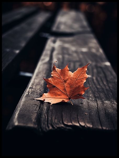 Plakat 60x80cm Pojedynczy Liść zdjęcie 2