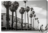 Obraz 100x70cm Spacer w Cieniu Palm