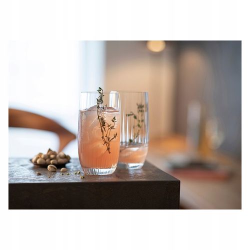 SCHOTT ZWIESEL FORTUNE Longdrink 499 ml na Arena.pl