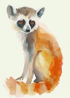 Plakat 39,5x55cm Lemurek