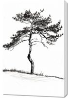 Obraz 60x90cm Samotna Sosna