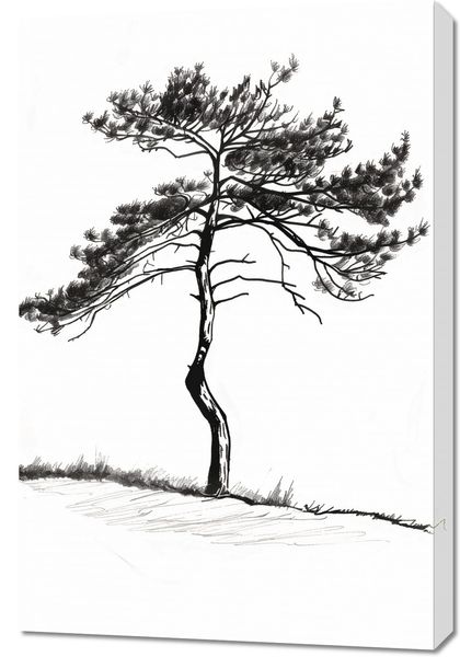 Obraz 60x90cm Samotna Sosna zdjęcie 1