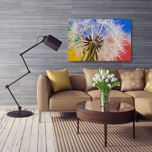 Obraz na płótnie - Canvas, Dmuchawiec 4 40x30 na Arena.pl