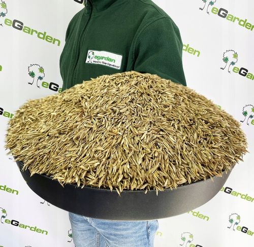 Trawa Samonawożąca 5KG Z MIKROKONICZYNĄ Koniczyna Odporna na suszę 200m2 na Arena.pl