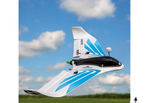 Blade Theory Type W ARF na Arena.pl