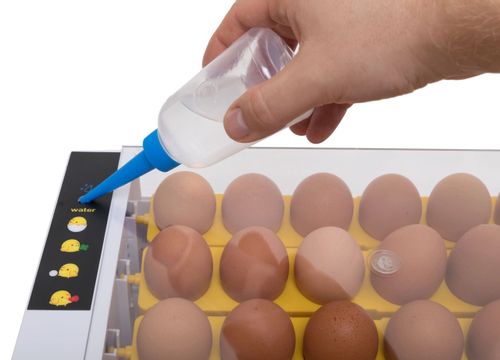 INKUBATOR KLUJNIK DO JAJ WYLĘGU DROBIU do 35 jajek na Arena.pl