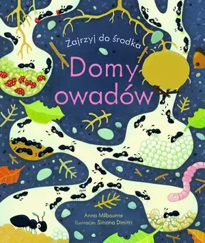 Domy owadów. Zajrzyj do środka zdjęcie 1