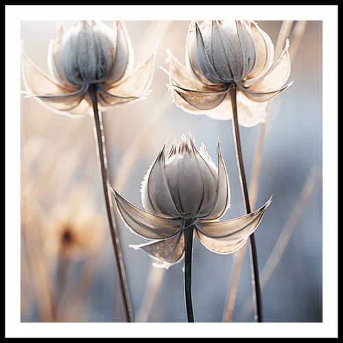 Plakat 60x60cm Poetycka Jesień na Arena.pl