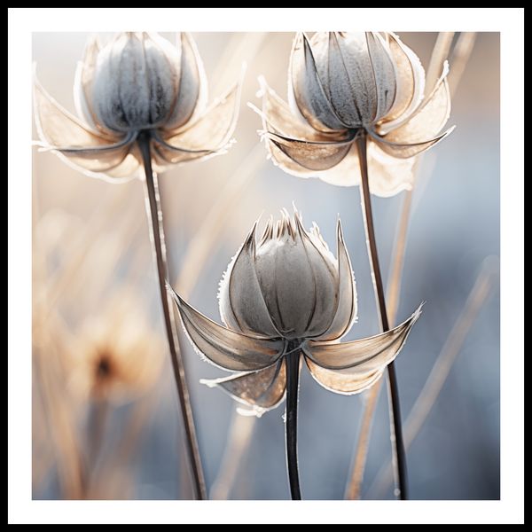 Plakat 60x60cm Poetycka Jesień zdjęcie 3