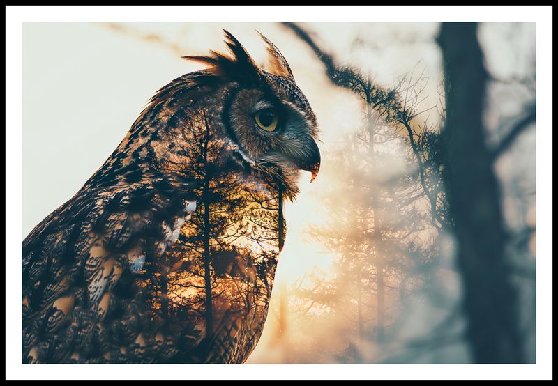 Plakat 91,5x61cm Sowi Duch zdjęcie 3