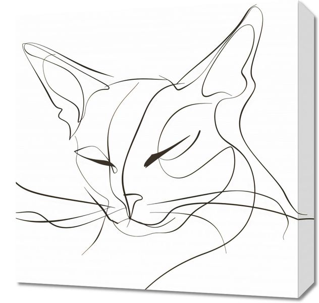 Obraz 50x50cm Linijny Kot zdjęcie 1