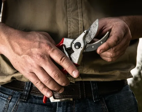 Sekatorius FELCO 2 | Felco na Arena.pl