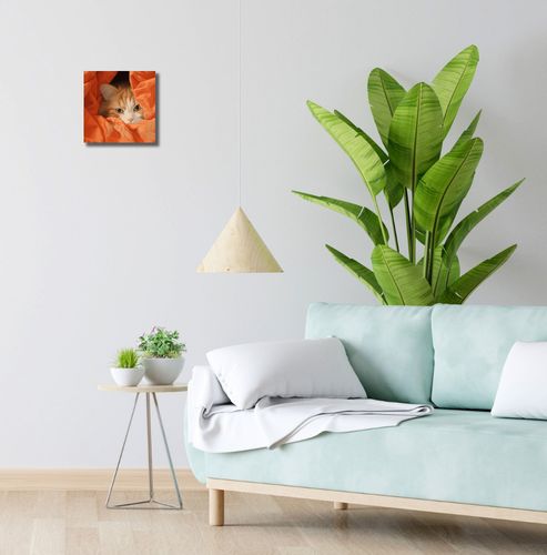 Obraz 20x20cm Ukryty Kot na Arena.pl