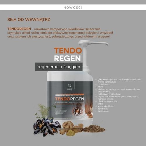 HIPPOVET PHARMACY TENDOREGEN 2,5L na Arena.pl