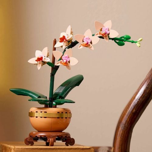 LEGO(R) BOTANICALS 10343 Mała orchidea na Arena.pl