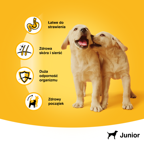 PEDIGREE Junior kurczak 400g na Arena.pl