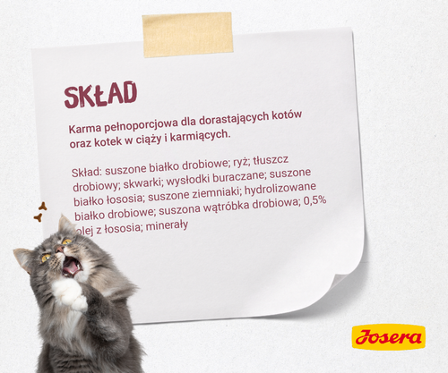 josera minette kitten 2kg na Arena.pl