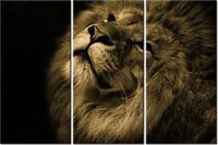 60 90CM OBRAZ 3 ELEM ZŁOTY LEW DRUK PŁÓTNO RAMA