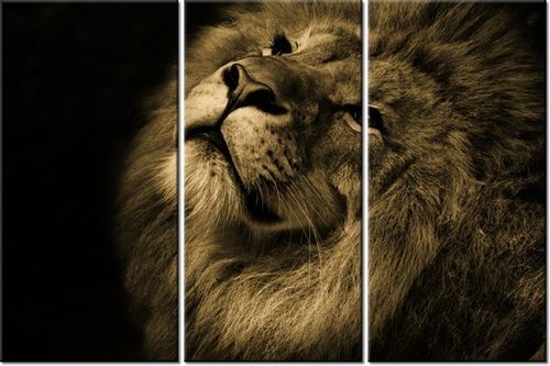 60 90CM OBRAZ 3 ELEM ZŁOTY LEW DRUK PŁÓTNO RAMA na Arena.pl