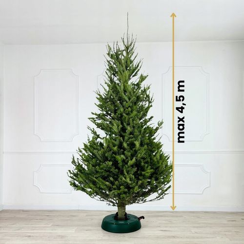 STOJAK CHOINKOWY SAMOZACISKOWY PODSTAWKA NA ŻYWĄ CHOINKĘ, WYSOKOŚĆ DO 4,5 M na Arena.pl
