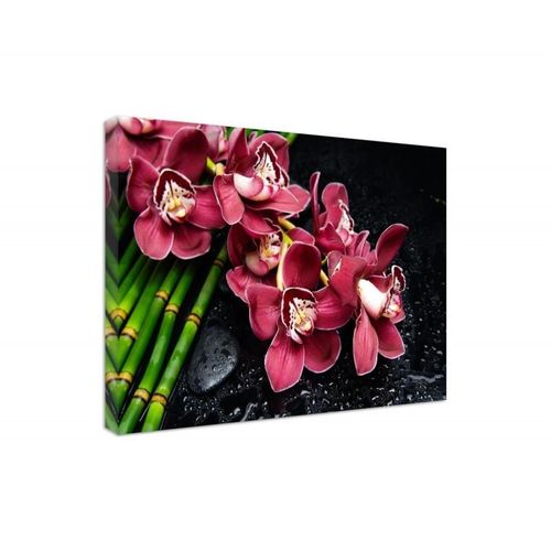 Obraz na płótnie - Canvas, Orchidea na bambusach 80x60 na Arena.pl
