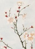 Plakat 50x70cm Plum Branches, Morikaga Japoński Vintage