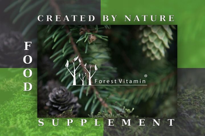 FOREST WITAMINA K2 MK-7 500mcg 100 tab NATURALNA zdjęcie 4