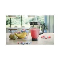 Blender kielichowy Philips HR3020/20 1000 W srebrny/szary