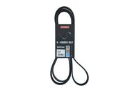 PASEK MICRO-V 6 PK 2145 MERCEDES KLASA G 1993 1994 1995 1996 1997 1998 1999