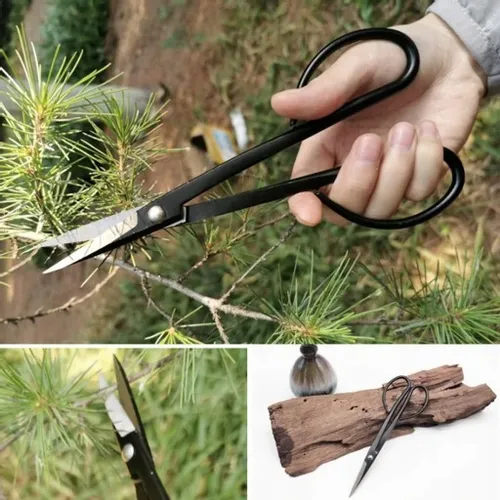 ZESTAW NARZĘDZI DO BONSAI na Arena.pl