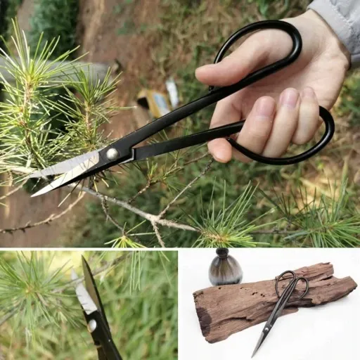 ZESTAW NARZĘDZI DO BONSAI zdjęcie 4