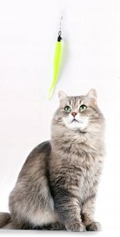 Zabawka wędka dla kota z piórem 7 czerwona WĘDKI na Arena.pl