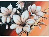 product-compare-58648587